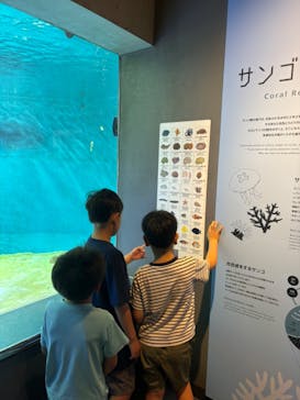 葛西臨海水族園に投稿された画像（2024/9/1）