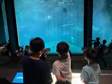 葛西臨海水族園に投稿された画像（2024/9/1）