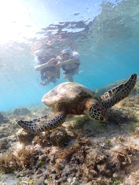 宮古島マリン GB QUESTに投稿された画像（2024/9/1）