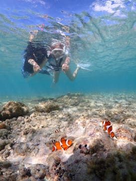 宮古島マリン GB QUESTに投稿された画像（2024/9/1）