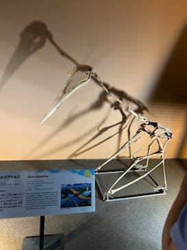 巨大恐竜展2024に投稿された画像（2024/9/1）