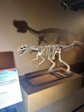 巨大恐竜展2024に投稿された画像（2024/9/1）