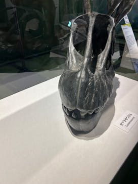 巨大恐竜展2024に投稿された画像（2024/9/1）