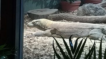 名古屋市東山動植物園に投稿された画像（2024/9/1）