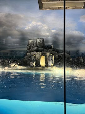 名古屋港水族館に投稿された画像（2024/9/1）