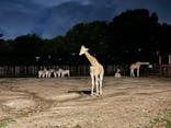 東武動物公園に投稿された画像（2024/9/1）