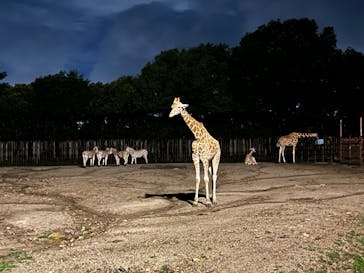 東武動物公園に投稿された画像（2024/9/1）