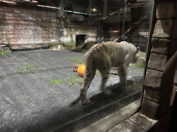 東武動物公園に投稿された画像（2024/9/1）