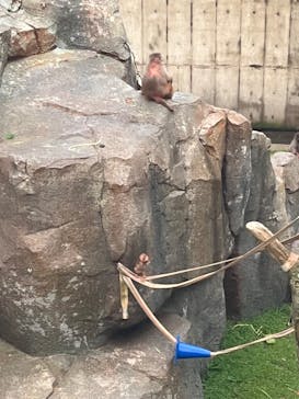 東武動物公園に投稿された画像（2024/9/1）