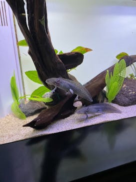 サンシャイン水族館に投稿された画像（2024/9/1）