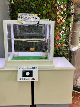 おきなわワールドに投稿された画像（2024/9/1）