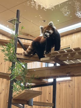 名古屋市東山動植物園に投稿された画像（2024/9/1）