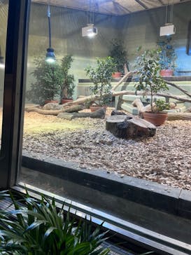 名古屋市東山動植物園に投稿された画像（2024/9/1）