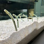 AOAO SAPPOROに投稿された画像（2024/9/2）