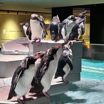 AOAO SAPPOROに投稿された画像（2024/9/1）