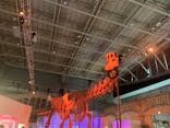巨大恐竜展2024に投稿された画像（2024/9/2）