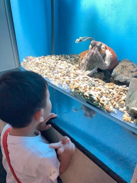 名古屋港水族館に投稿された画像（2024/9/2）