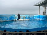 新江ノ島水族館に投稿された画像（2024/9/2）