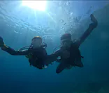 武藤潜水に投稿された画像（2024/9/2）