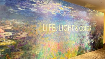 モネ＆フレンズ・アライブに投稿された画像（2024/9/2）