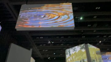 モネ＆フレンズ・アライブに投稿された画像（2024/9/2）