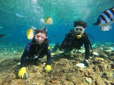 武藤潜水に投稿された画像（2024/9/2）