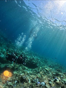 武藤潜水に投稿された画像（2024/9/2）