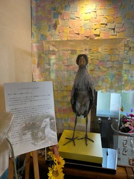 伊豆シャボテン動物公園に投稿された画像（2024/9/2）