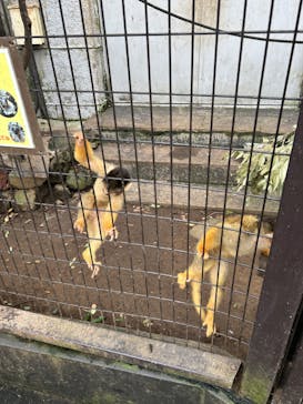 伊豆シャボテン動物公園に投稿された画像（2024/9/2）