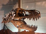 巨大恐竜展2024に投稿された画像（2024/9/2）