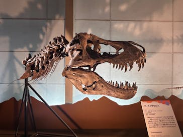 巨大恐竜展2024に投稿された画像（2024/9/2）