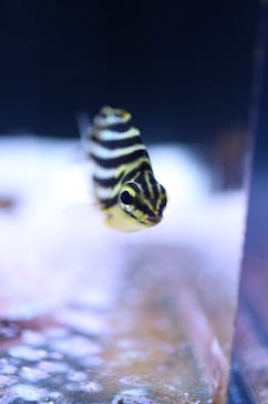 マクセル アクアパーク品川に投稿された画像（2024/9/2）