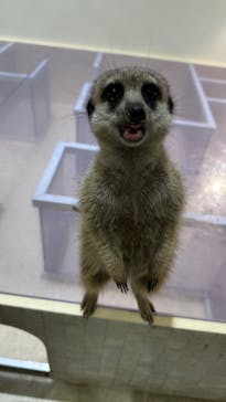 アニタッチPARKイオンモール太田に投稿された画像（2024/9/2）