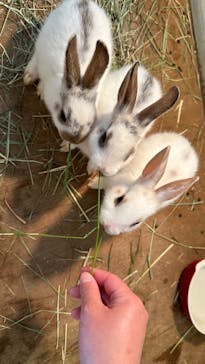 アニタッチPARKイオンモール太田に投稿された画像（2024/9/2）