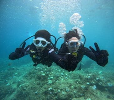 沖縄マリンサービス碧に投稿された画像（2024/9/2）