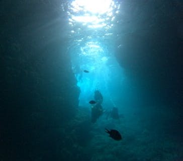 沖縄マリンサービス碧に投稿された画像（2024/9/2）