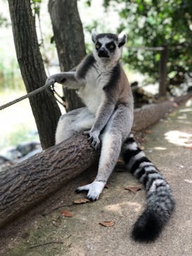 神戸どうぶつ王国に投稿された画像（2024/9/2）