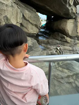 仙台うみの杜水族館に投稿された画像（2024/9/2）