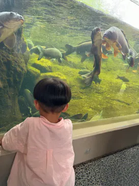 仙台うみの杜水族館に投稿された画像（2024/9/2）