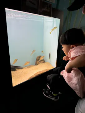 仙台うみの杜水族館に投稿された画像（2024/9/2）