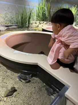 仙台うみの杜水族館に投稿された画像（2024/9/2）