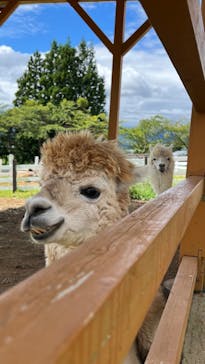 牧歌の里に投稿された画像（2024/9/2）