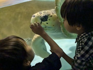 マリンワールド海の中道に投稿された画像（2024/9/2）