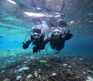 沖縄マリンサービス碧に投稿された画像（2024/9/2）