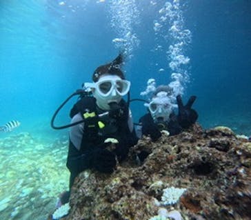 沖縄マリンサービス碧に投稿された画像（2024/9/2）