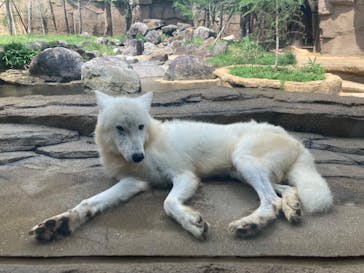 那須どうぶつ王国に投稿された画像（2024/9/2）