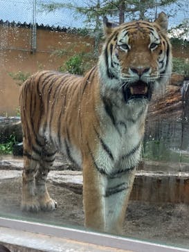 那須どうぶつ王国に投稿された画像（2024/9/2）