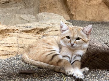 那須どうぶつ王国に投稿された画像（2024/9/2）