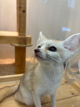 アニタッチ MARK IS 静岡に投稿された画像（2024/9/2）