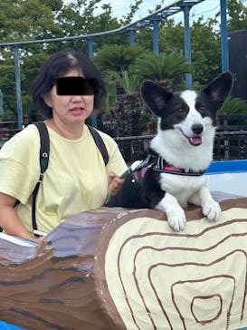 伊豆ぐらんぱる公園に投稿された画像（2024/9/2）